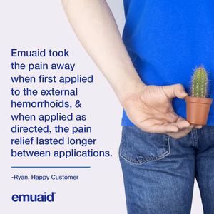 Person hält kleinen Kaktus mit emuaid