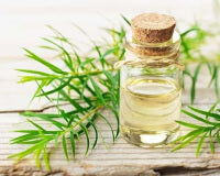 Teebaumblatt-Öl