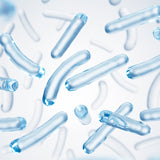 Bacillus Ferment (Postbiotikum)